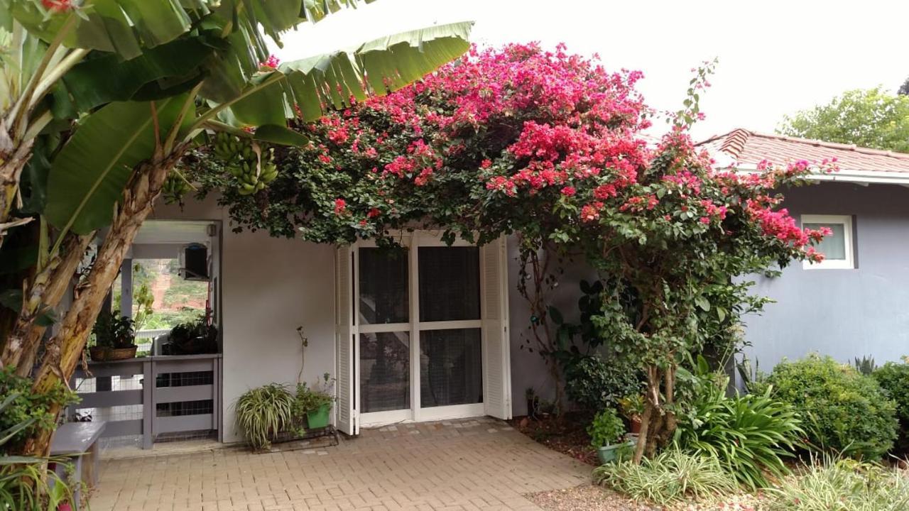 Casa Deni Villa Нова Петрополис Екстериор снимка